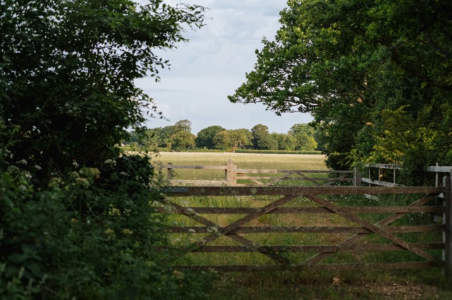 Wooden farm gate leading onto open fields in the Woodford countryside